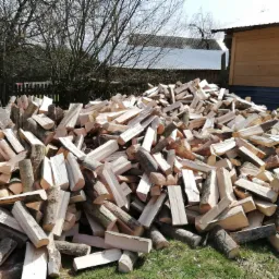 Stos świeżo porąbanego drewna ułożonego na trawie przed drewnianym budynkiem gospodarczym i drzewami bez liści.