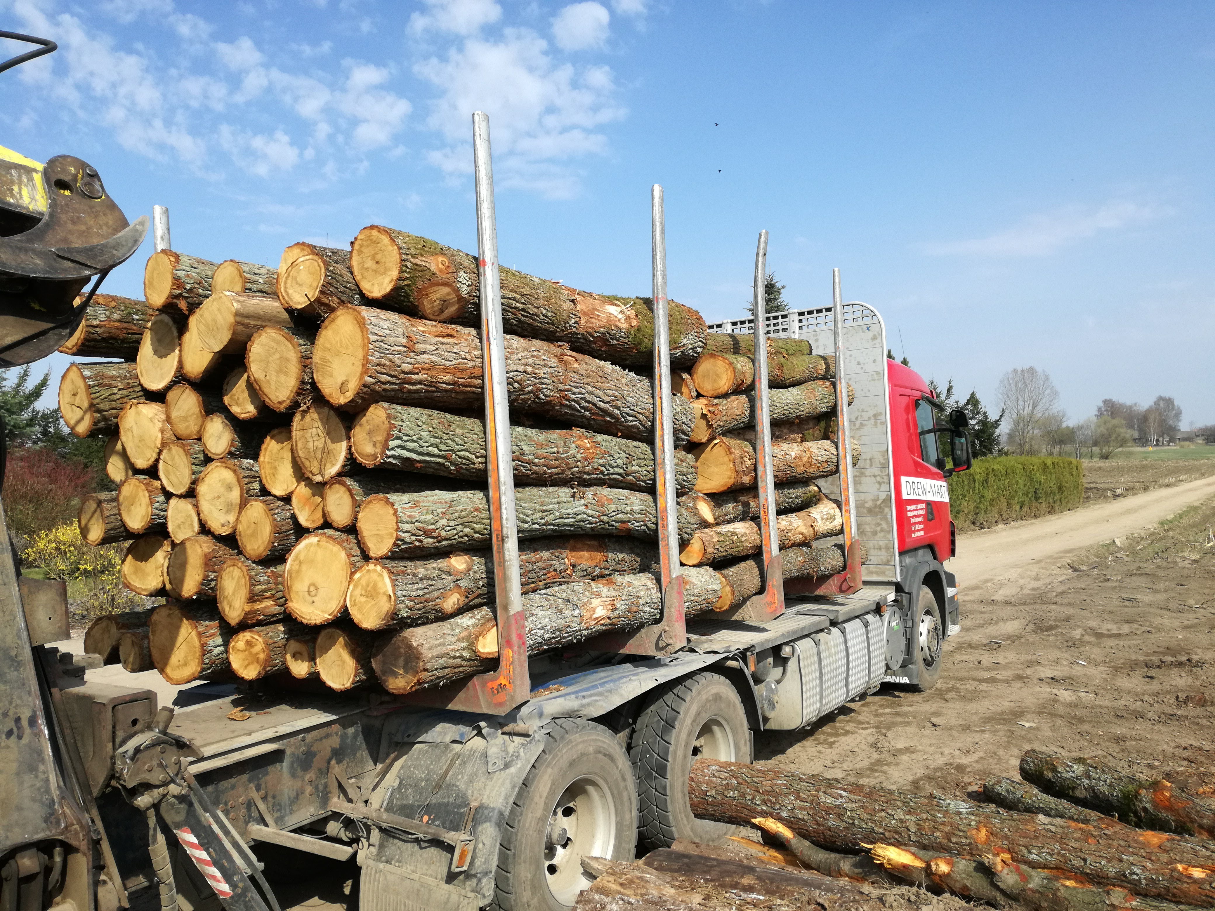 Ciężarówka z czerwonym ciągnikiem, załadowana ściętymi kłodami drewna z widocznymi sękami i korą, stojąca na ziemistej drodze w słoneczny dzień.