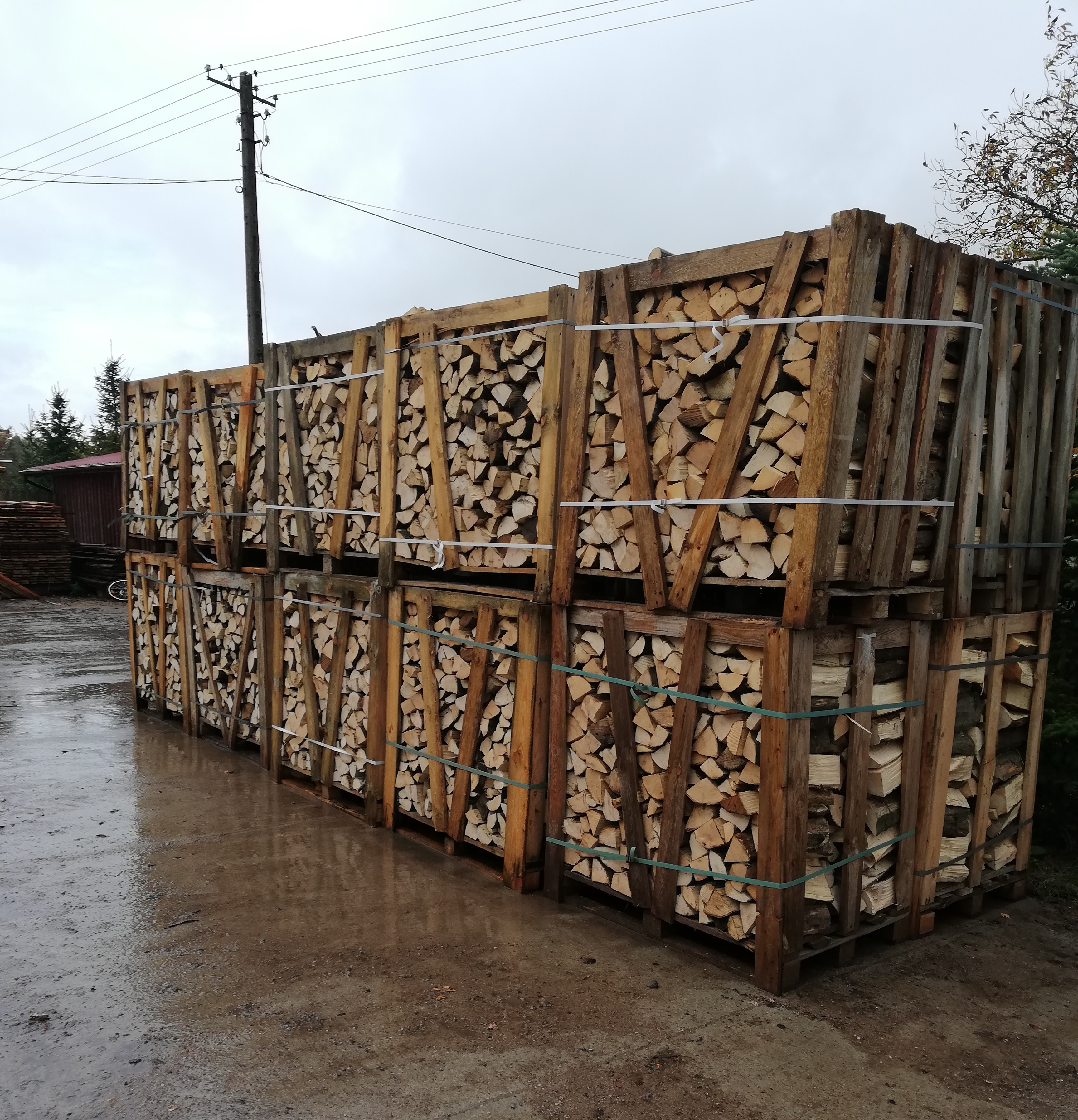 Ułożone w paletach pocięte kawałki drewna, zabezpieczone taśmami, na mokrym podłożu, w tle słup elektryczny i drzewa.