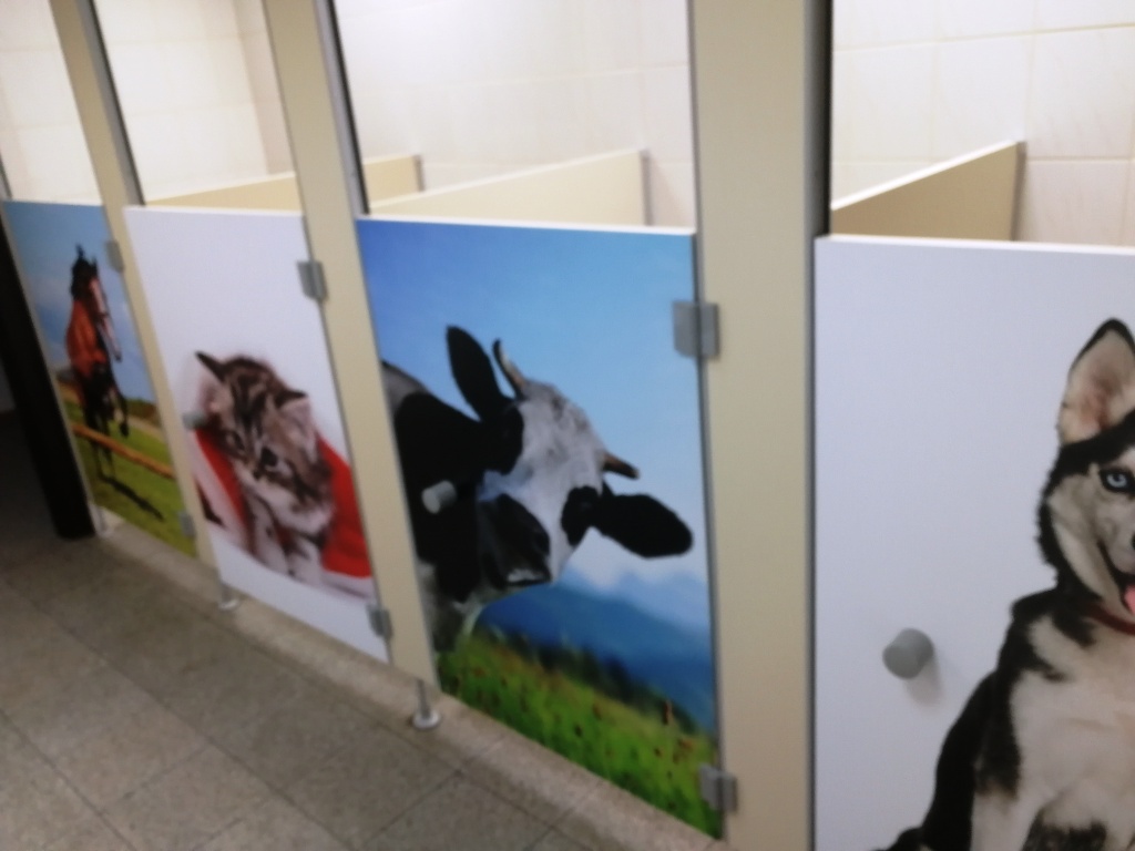 Kabiny toaletowe z grafikami zwierząt: koń, kot, krowa, husky.