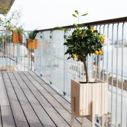 Nowoczesny taras drewniany z jasnymi deskami, metalową balustradą i drzewkiem cytrusowym w minimalistycznej drewnianej donicy na nóżkach, widok na wodę w tle.