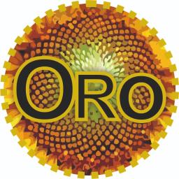 Oro - Logotyp Andrychów