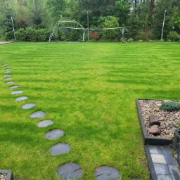 trawnik po 4 miesiącach