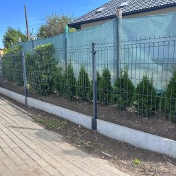 SEMAX Andrzej Sech - Panelowe ogrodzenie z podmurówką i siatką maskującą, obsadzone tujami. Widok z chodnika, w tle dom z ciemną dachówką i drogowskaz.