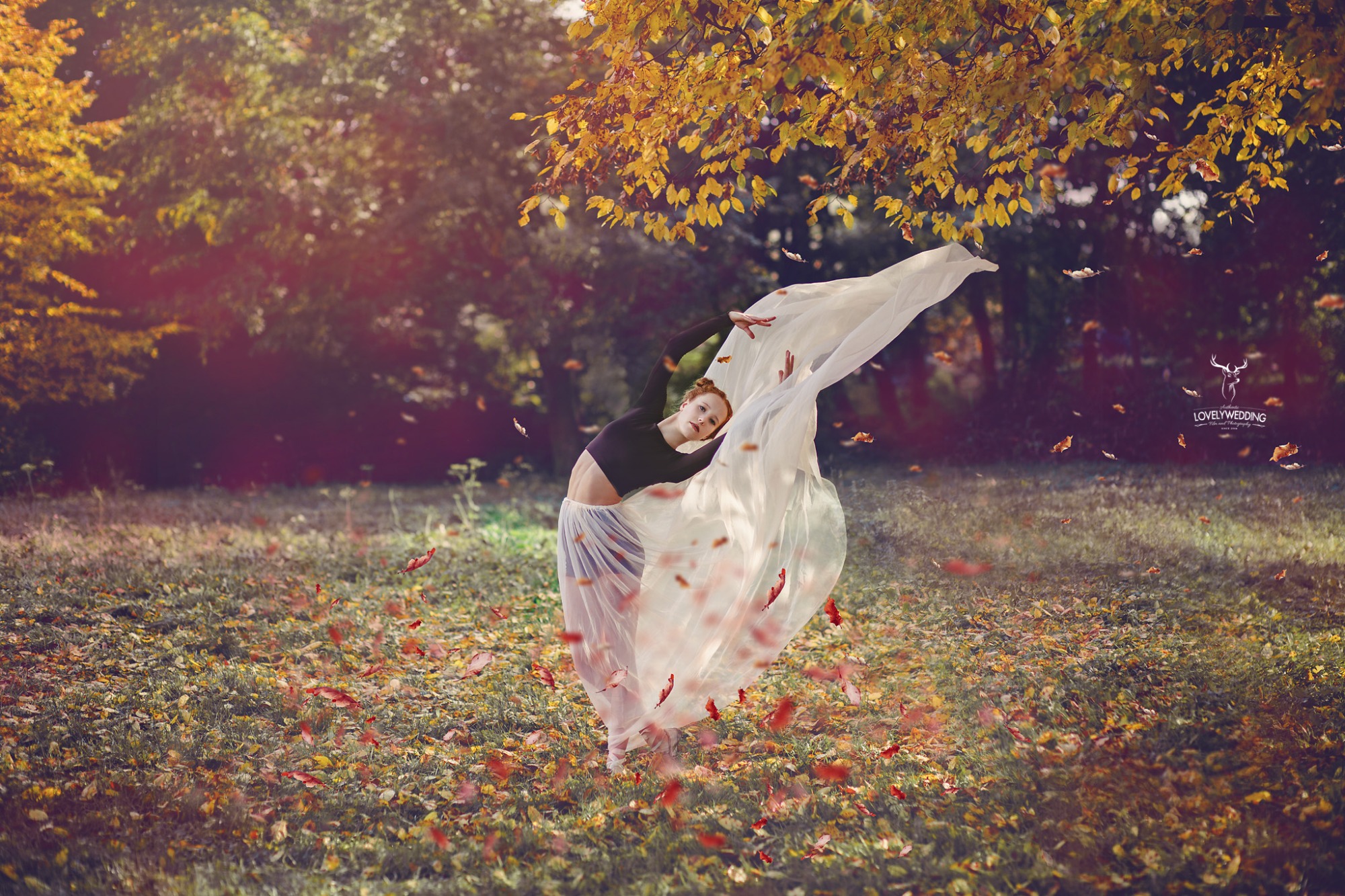 Nasza Szkoła powstała z miłości i pasji do tańca.