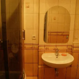 Umywalka z mydłem i lustro w łazience z beżowymi płytkami z motywem palm, kabina prysznicowa z lewej strony.