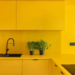 Żółta kuchnia z czarną armaturą i dwoma doniczkami z ziołami na blacie, minimalistyczny design, oświetlenie punktowe.