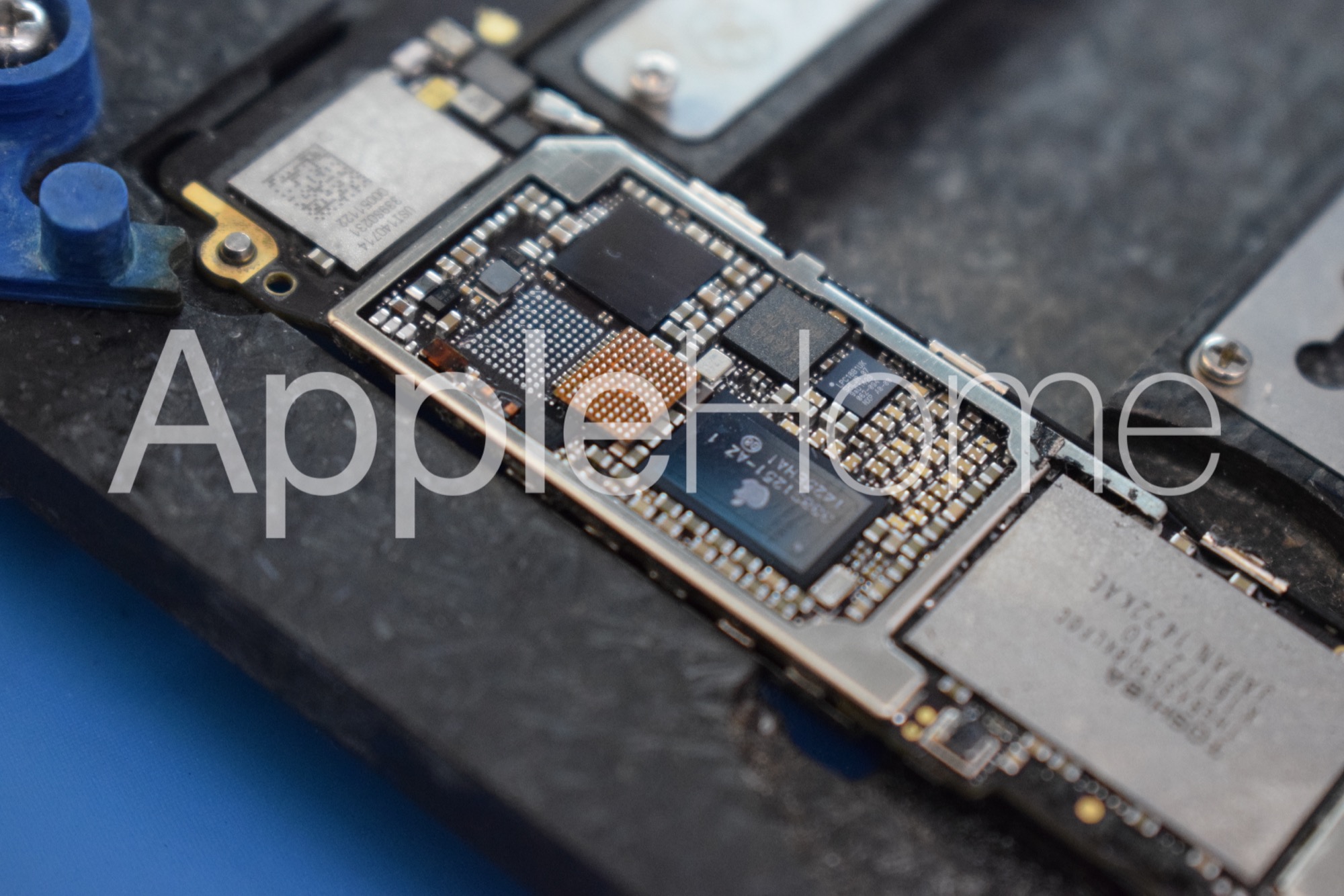 Zbliżenie na płytę główną smartfona z widocznymi układami scalonymi i elementami elektronicznymi, umieszczoną na niebieskim podłożu.