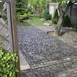 Lech-Bruk Lech Mędykowski - Szara kostka granitowa ułożona wokół drzewa w ogrodzie, widoczny drewniany płotek i zieleń