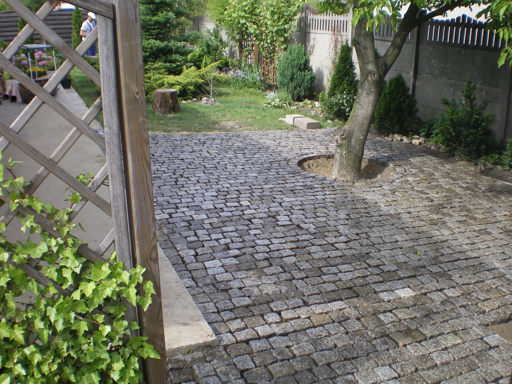 Szara kostka granitowa ułożona wokół drzewa w ogrodzie, widoczny drewniany płotek i zieleń