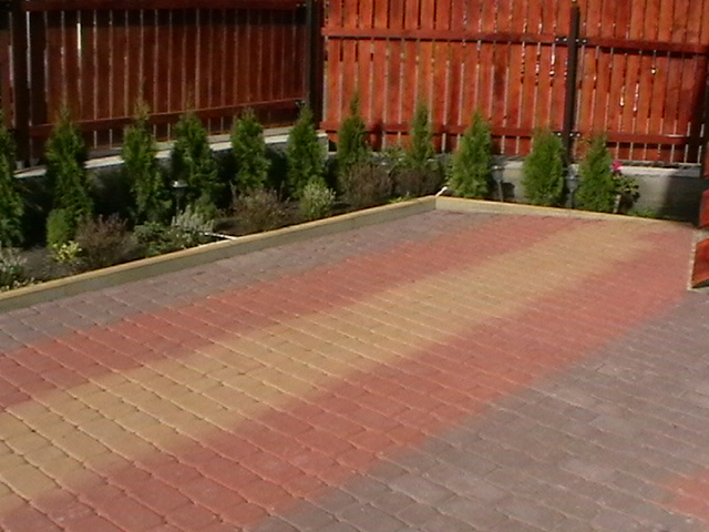 Ułożony wzór z czerwono-żółtej kostki brukowej na podwórku, obrzeże z szarego betonu, w tle rząd małych tuj i drewniany płot.