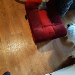 M&M Pucuś - Czerwony, tapicerowany puf czyszczony parowo za pomocą dyszy odkurzacza piorącego, widoczny fragment drewnianej podłogi i czarny wąż odkurzacza.