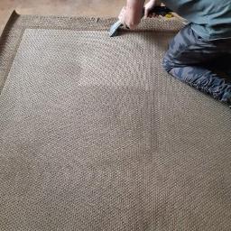 M&M Pucuś - Czyszczenie beżowego dywanu z wyraźnym wzorem za pomocą parownicy, widoczne ślady po czyszczeniu.