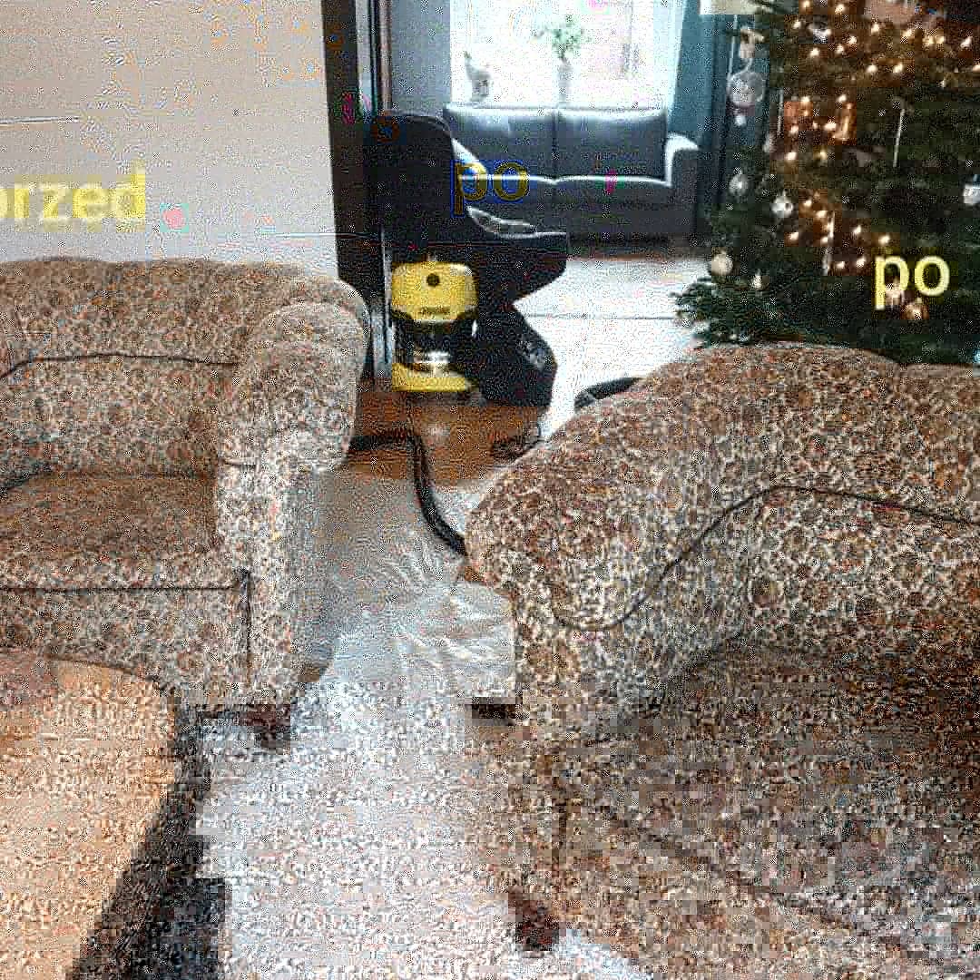 Dwa tapicerowane fotele w plamy, częściowo przykryte folią ochronną, z widocznym żółtym odkurzaczem piorącym w tle, obok stoi choinka.