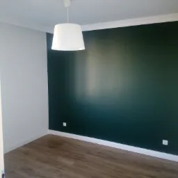 Pomalowane na biało i ciemnozielono ściany w pokoju z panelami podłogowymi i białą lampą wiszącą.