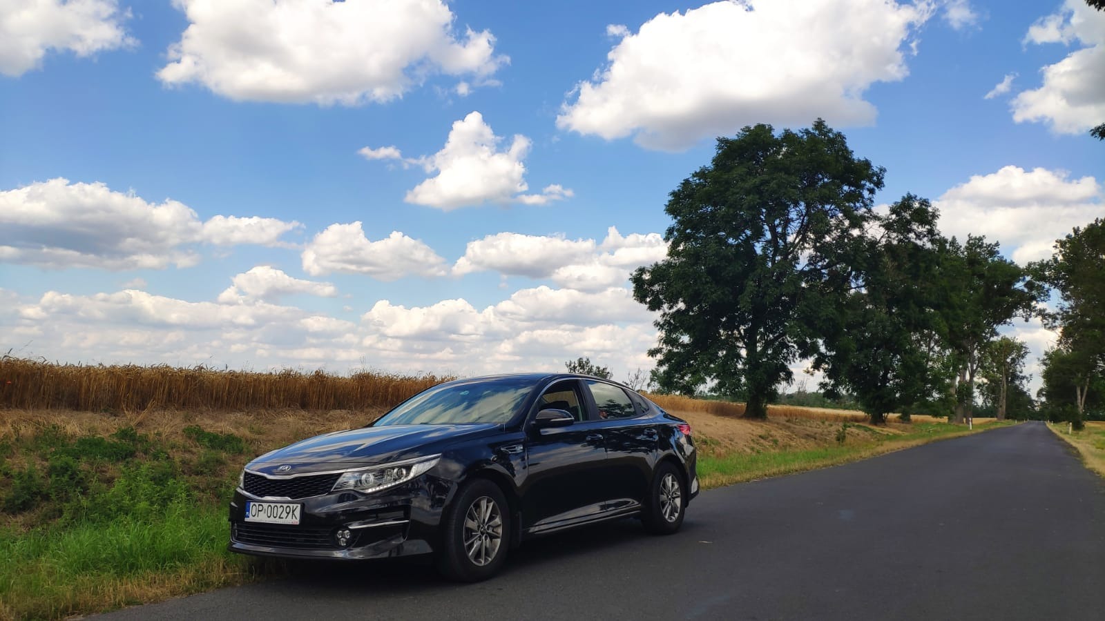 Czarny samochód osobowy Kia Optima z numerem rejestracyjnym OP 0029K, zaparkowany na asfalcie obok pola ze zbożem i drzew, pod błękitnym niebem z chmurami.