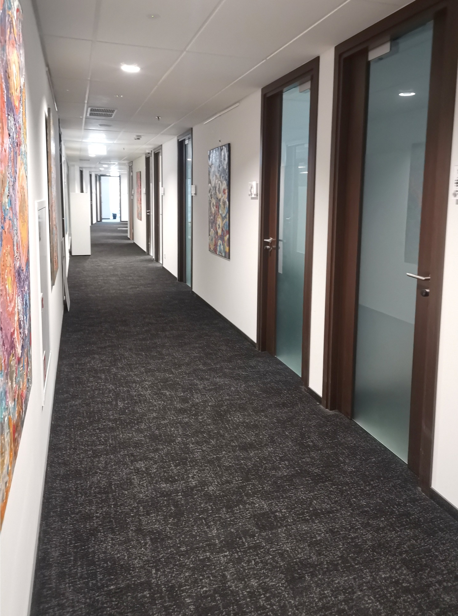 Długi korytarz biurowy z szarą wykładziną dywanową, białymi ścianami ozdobionymi abstrakcyjnymi obrazami i rzędem drzwi z brązowymi framugami i matowymi szybami.