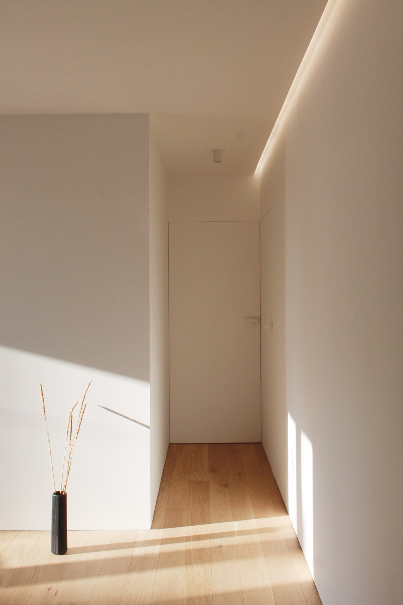 Minimalistyczny korytarz z drewnianą podłogą, białymi ścianami i ukrytym oświetleniem LED na suficie. W rogu stoi wysoki, czarny wazon z suszonymi trawami, oświetlony promieniami słońca.