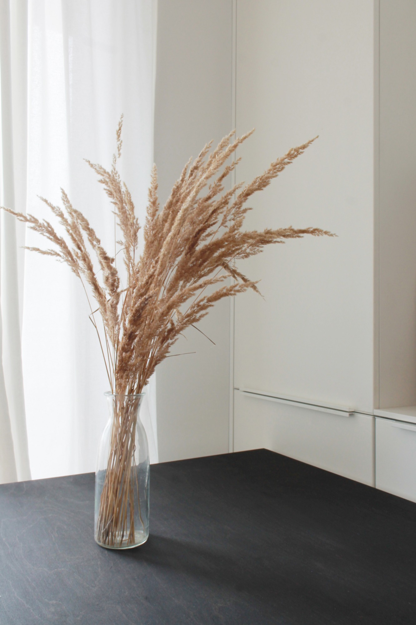 Minimalistyczna kompozycja z suszonych traw w szklanym wazonie na ciemnym blacie, z białymi szafkami i zasłoną w tle.