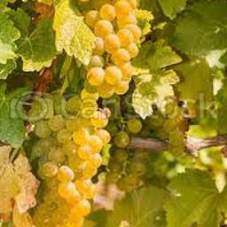 Hurtownia Alkoholi Radom 2