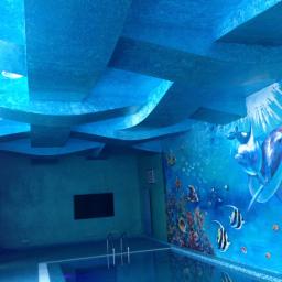 Glazurnik Szczecin 3