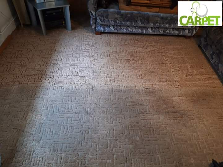 Dywan z geometrycznym wzorem, częściowo wyczyszczony, widoczna różnica w kolorze i strukturze włosia po zabiegu, obok fragment sofy z wzorzystą tapicerką i stolik.