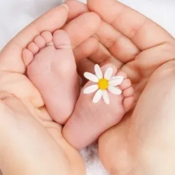 Drobne stopy noworodka w dłoniach, ozdobione białą stokrotką z żółtym środkiem, na miękkim białym tle.