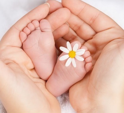 Drobne stopy noworodka w dłoniach, ozdobione białą stokrotką z żółtym środkiem, na miękkim białym tle.