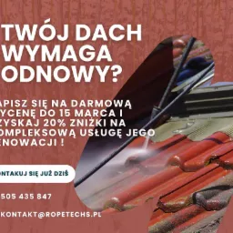 Reklama firmy z ofertą czyszczenia dachu pod ciśnieniem, z widoczną lancą natryskową i strumieniem wody usuwającym zabrudzenia z czerwonej dachówki.