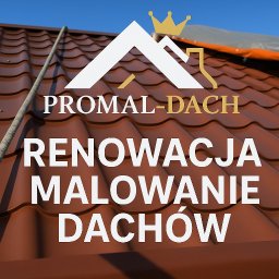 Usługi ciesielsko-dekarskie Wysoka 4