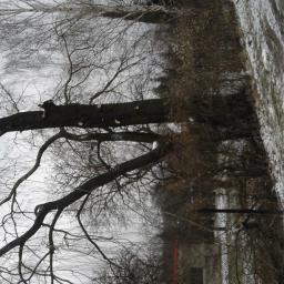 Pielęgnacja ogrodów Bielsko-Biała 3