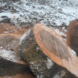 Pielęgnacja ogrodów Bielsko-Biała 2