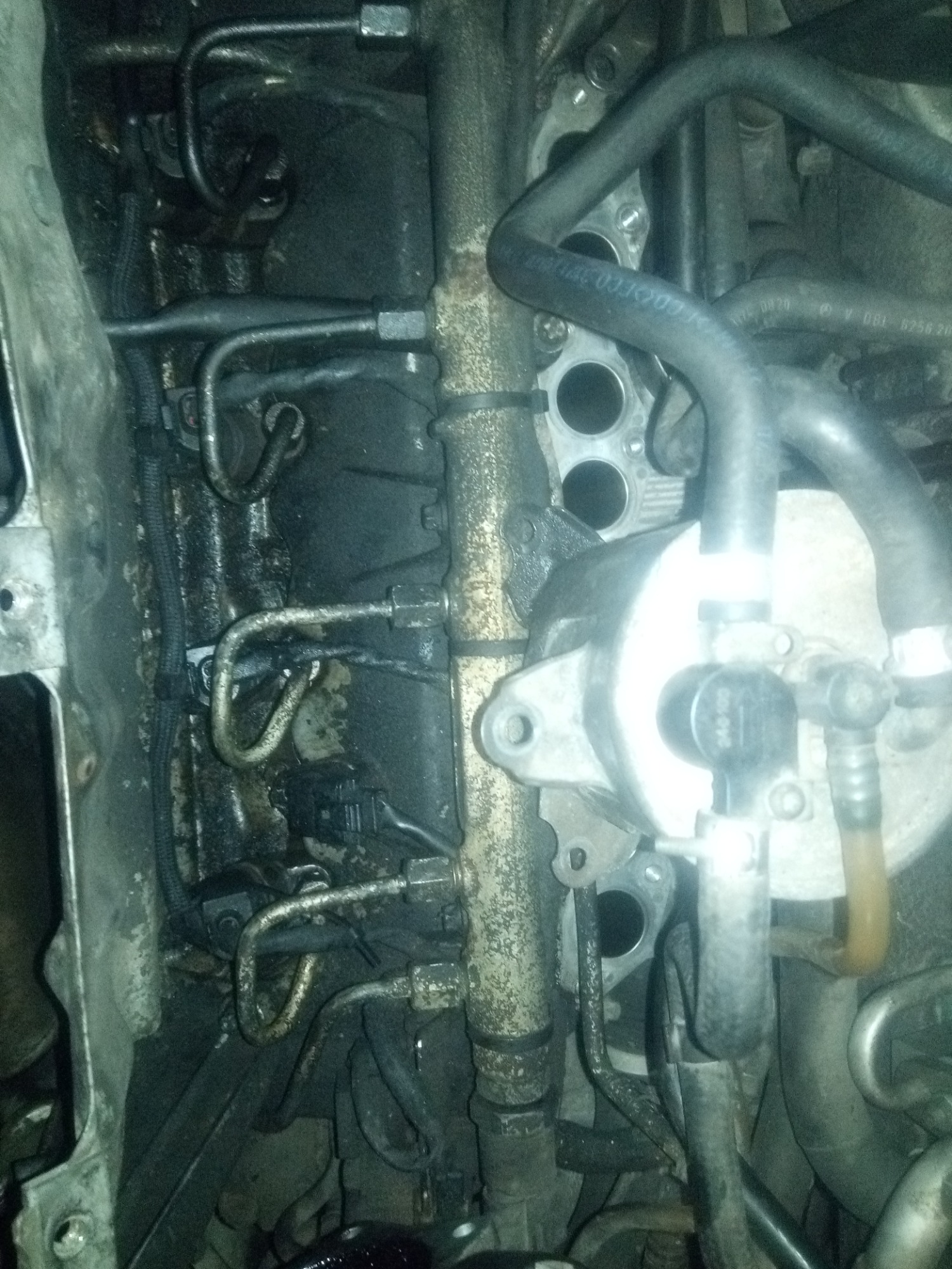 Silnik samochodowy z widocznymi przewodami paliwowymi i elementami osprzętu, pokryty warstwą brudu i oleju, z bliska.