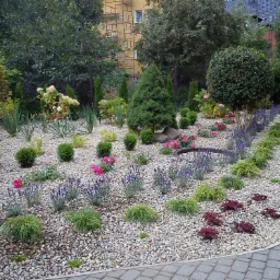 Ogród przydomowy z nasadzeniami ozdobnymi, wysypany drobnym żwirem, z widocznymi drzewami, krzewami, kwiatami, obrzeżem z kostki brukowej i metalowo-murowanym ogrodzeniem.