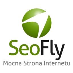 SeoFly s.c. - Reklama internetowa Warszawa