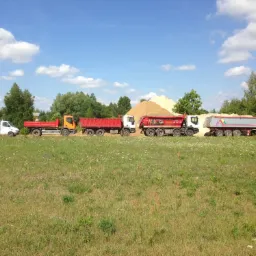 Szereg samochodów ciężarowych z przyczepami, w tym wywrotki, stojących obok siebie na tle pola i drzew, za nimi widoczny kopiec materiału sypkiego.