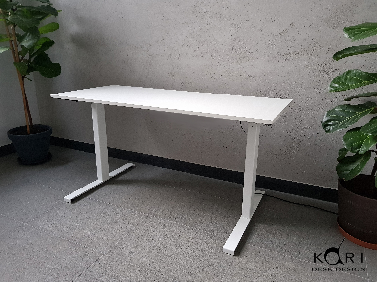 Białe, regulowane biurko z elektrycznym podnoszeniem blatu, minimalistyczny design, tło z szarej ściany i roślin doniczkowych.