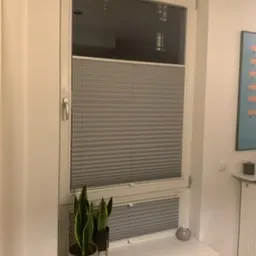 Białe okno z plisowanymi szarymi roletami, na parapecie dwie doniczki z zielonymi roślinami i srebrna dekoracja.