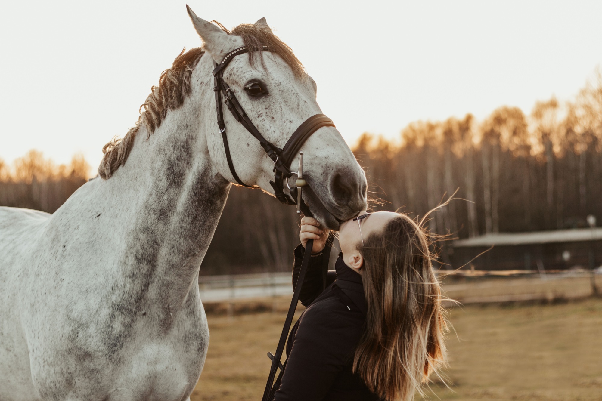 Kobieta w czarnej kurtce całuje w nos siwego konia w uprzęży na tle drzew i zachodzącego słońca.