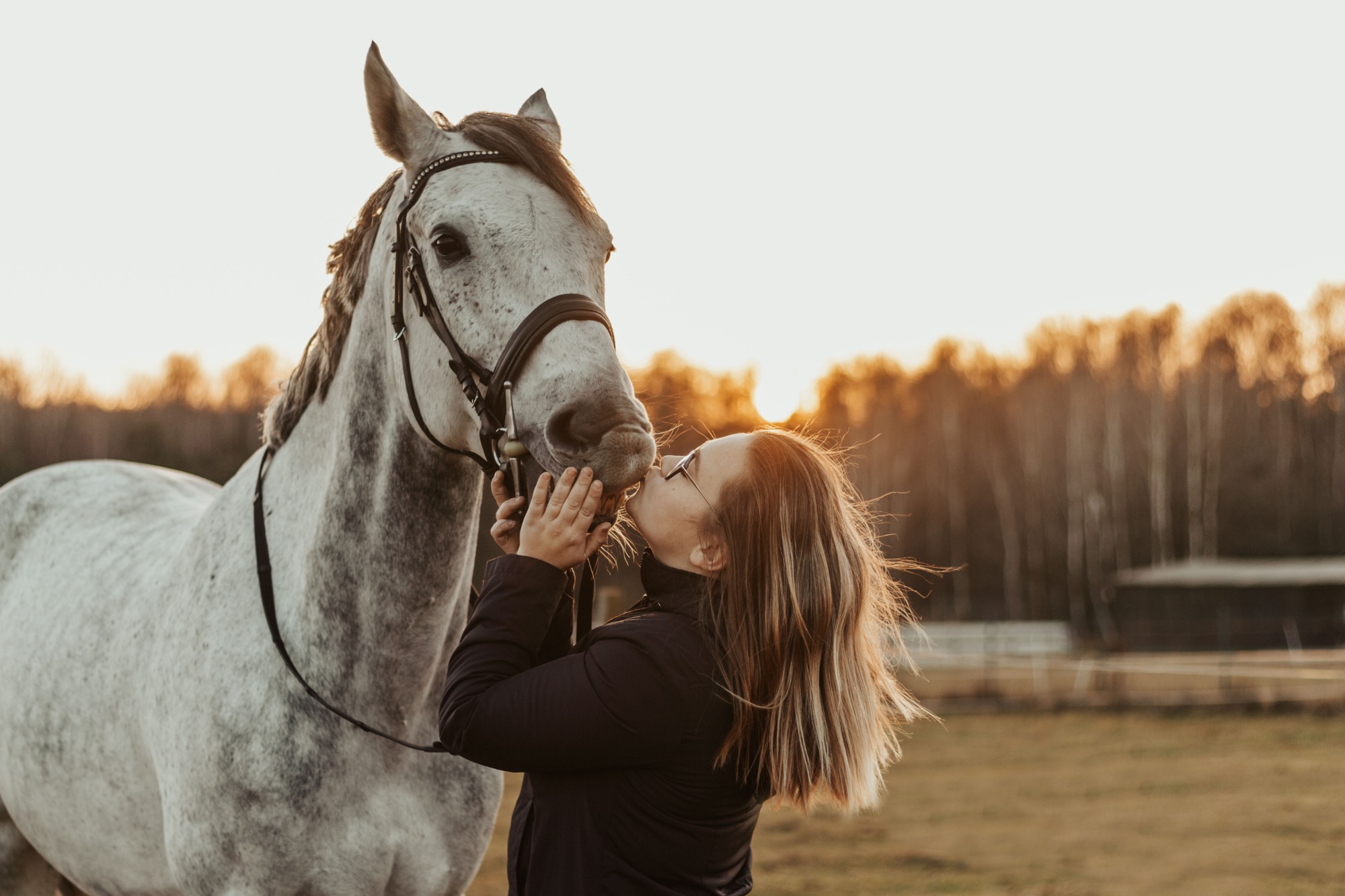 Kobieta w czarnej kurtce całuje w pysk siwego konia w uprzęży na tle zachodzącego słońca i drzew.