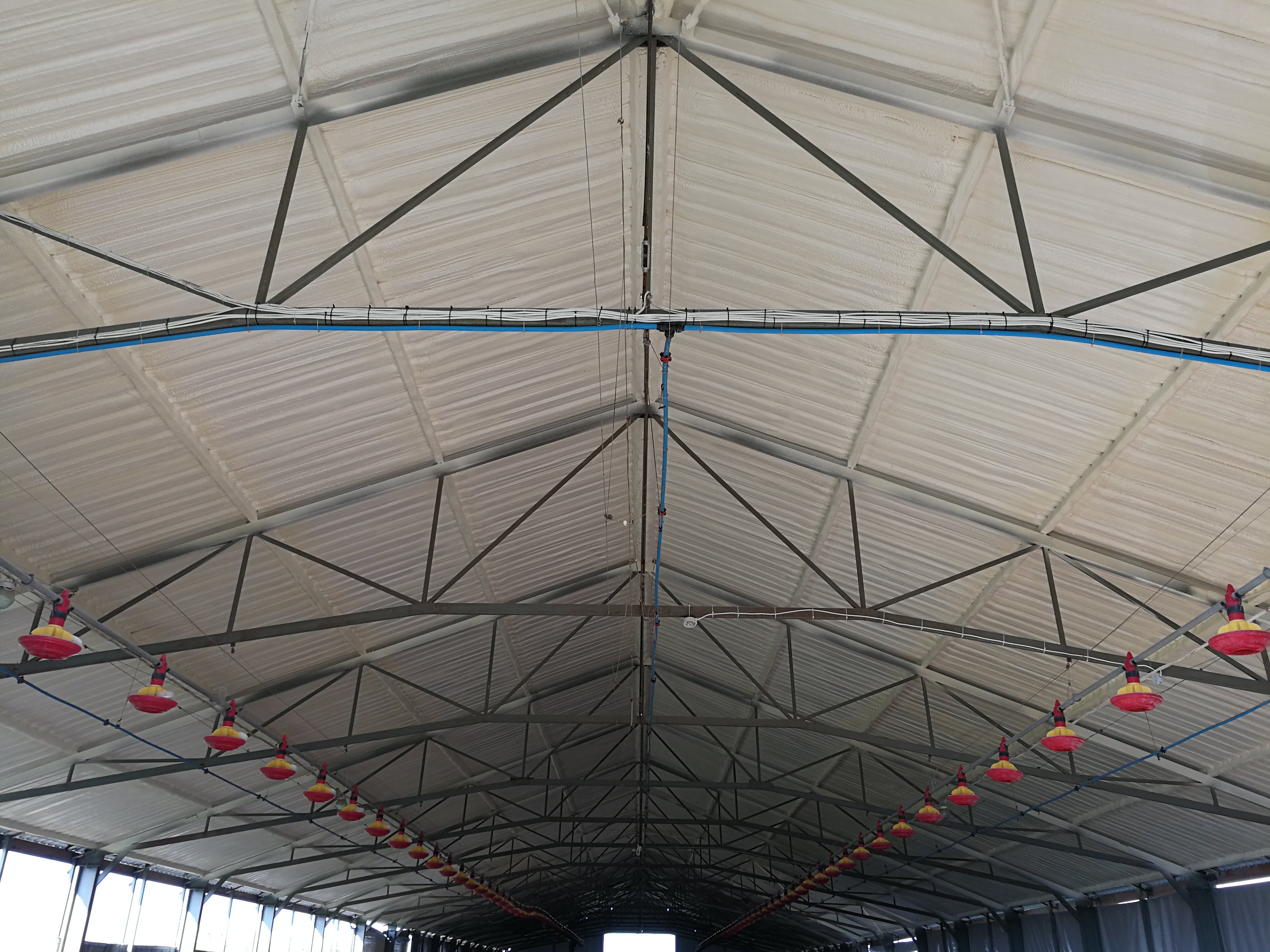 Wnętrze hali produkcyjnej z ocieplonym dachem pianką, widoczne metalowe konstrukcje, instalacje i karmniki dla zwierząt.