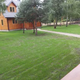 Widok na drewniany dom z brązową elewacją i szarą dachówką, otoczony świeżo założonym trawnikiem z widocznymi śladami po rolkach, ścieżka z jasnego żwiru prowadzi w głąb posesji, a w tle widoczne...