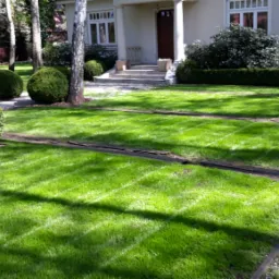 Starannie utrzymany trawnik z regularnymi pasami po koszeniu, otoczony równo przyciętymi żywopłotami i kulistymi krzewami, na tle białego domu z kolumnami.