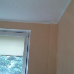 Fixer Company - Pomalowane na beżowo ściany z oknem i roletą, widoczne drzewa za oknem, biały sufit z listwą dekoracyjną, fragment zakrytej folią ściany po lewej.