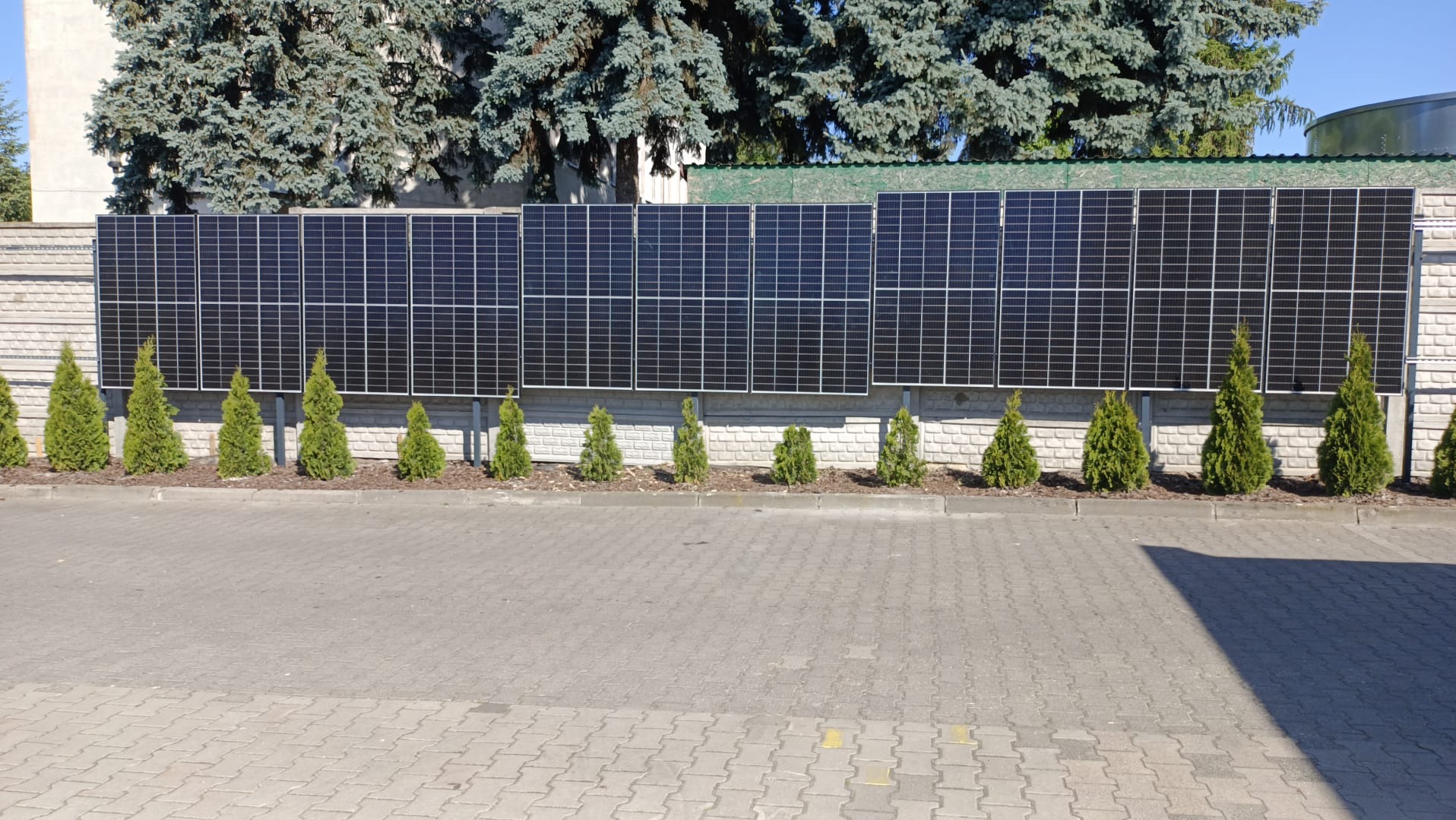 Panele fotowoltaiczne zamontowane na betonowym murze, z rzędem małych tujek u podstawy, na tle zielonych drzew i kostki brukowej.