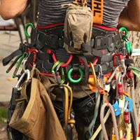 Arborysta w Połczynie-Zdroju, wyposażony w uprząż i liczne karabinki, przygotowany do prac wysokościowych na drzewie. Widoczne elementy marki Stihl.