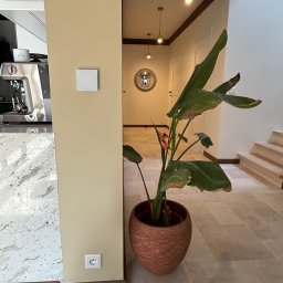 ELCOM - INSTALACJE ELEKTRYCZNE - Wnętrze domu z widocznym panelem sterowania inteligentnego domu na ścianie, obok gniazdka elektrycznego i rośliny w doniczce.