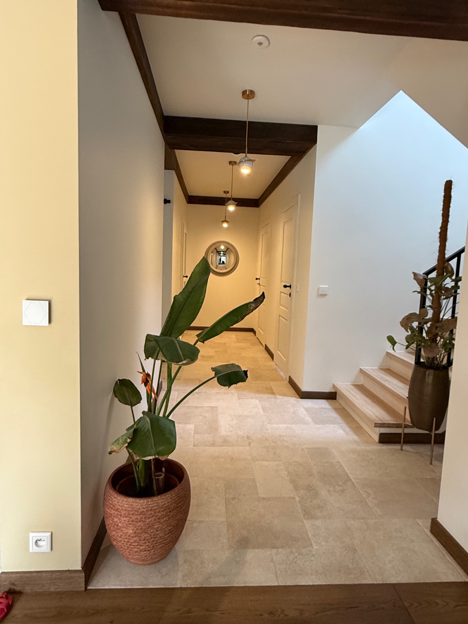 Jasny korytarz z drewnianymi belkami stropowymi, oświetleniem punktowym i roślinami doniczkowymi, widoczny panel sterowania na ścianie.