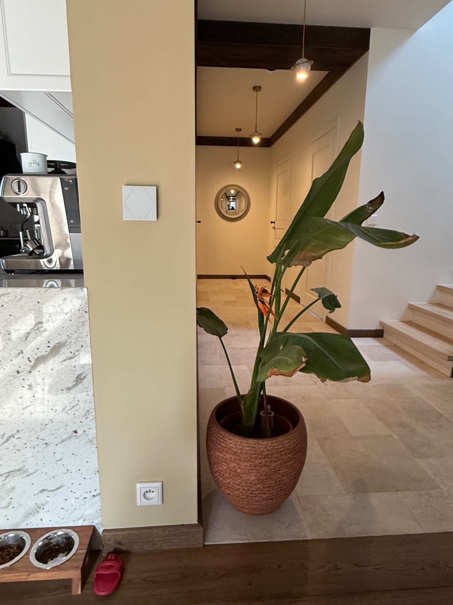 Wnętrze domu z widocznym panelem sterowania inteligentnego domu na ścianie, obok gniazdka elektrycznego i rośliny w doniczce.