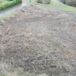 Teren po wycince drzew z widocznymi śladami opon, pniami i gałęziami, sąsiadujący z chodnikiem i zielenią.